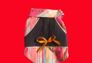 青島、威海、上海高檔寵物服飾用品供應全解析