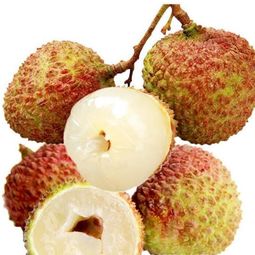 中國果品網 連接果品產業與消費者的橋梁