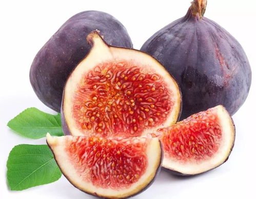 中秋養(yǎng)生佳肴 楊志敏教授推薦果品燉雞，溫潤(rùn)團(tuán)圓好滋味