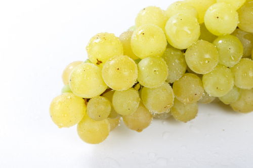 手指紅提 蔬菜水果圖片素材庫(kù)中的精致選擇