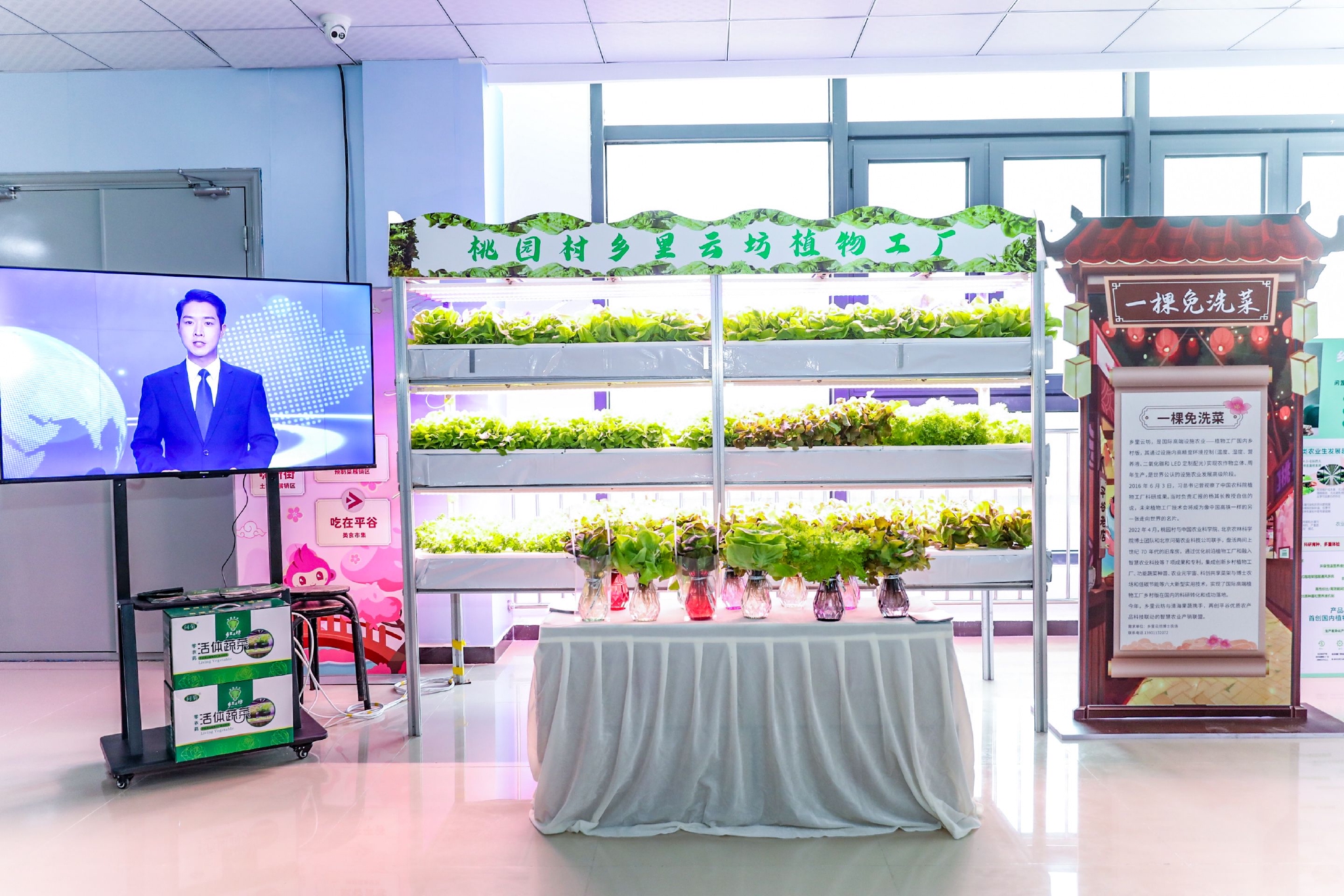 頭茬鮮桃擺進(jìn)桃花海！平谷土特產(chǎn)與蔬菜零售攜手亮相