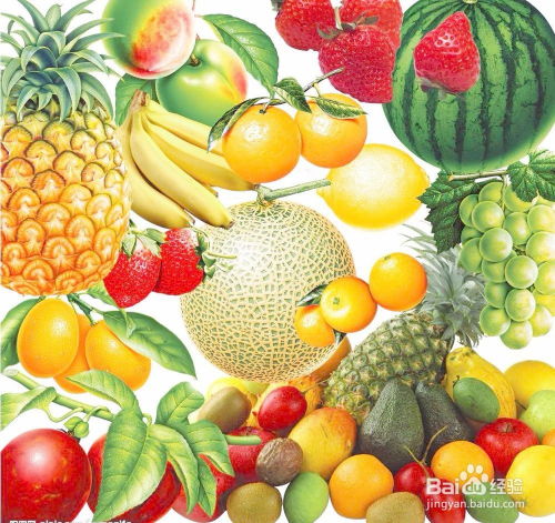 手作時(shí)光 精選果品自制健康水果茶片