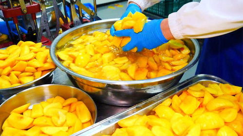 探秘月產(chǎn)三萬(wàn)瓶的巨型水果罐頭工廠(chǎng) 手工制作背后的壯麗樂(lè)章